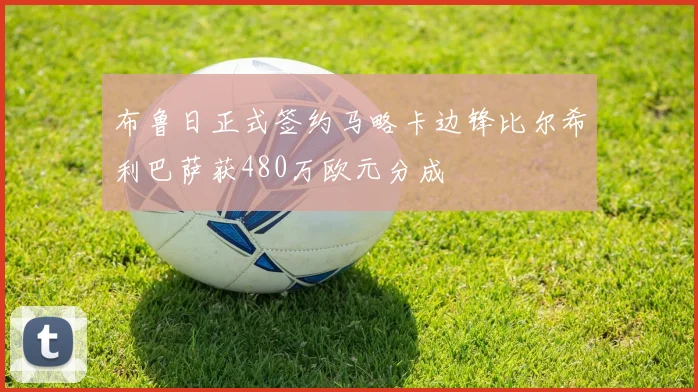 博努奇有望加盟曼奇尼教练组马卡罗内与洛卡蒂也将加入